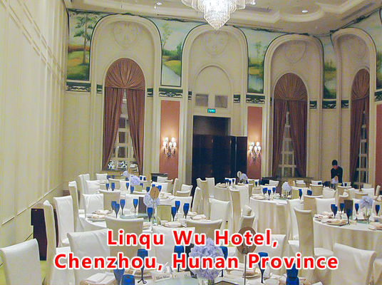 Καλή τιμή. Aluminum Wooden Movable Partition Wall with 304 Stainless Steel Rollers and 6061-T6 Profile for Office Room σε απευθείας σύνδεση