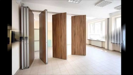 ΑΕ Φθηνό Χονδρικό Διακοσμητικό Ευέλικτα Δυνατό Πλαστικό Διαχωριστικό Μετακινούμενο Ηχομόνωτο Διαχωριστικό Τείχος